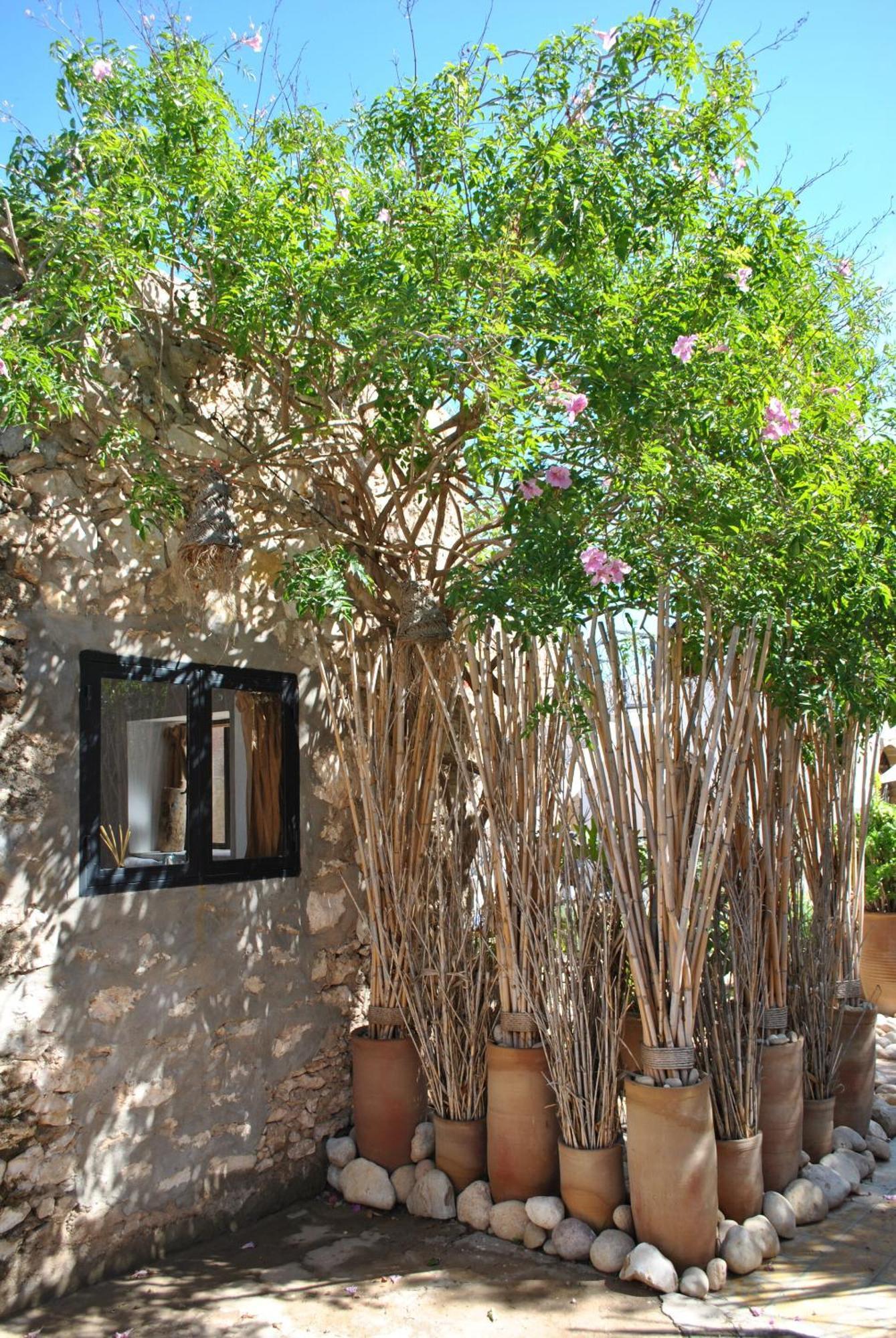Maison Sidi Et Lalla Essaouira Eksteriør billede